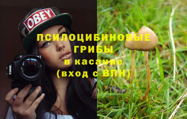 apvp Балахна